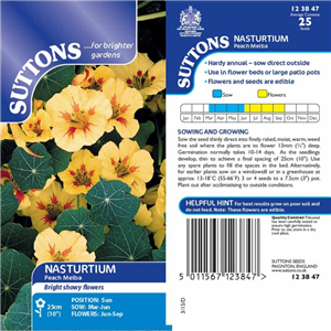 Nasturtium Peach Melba